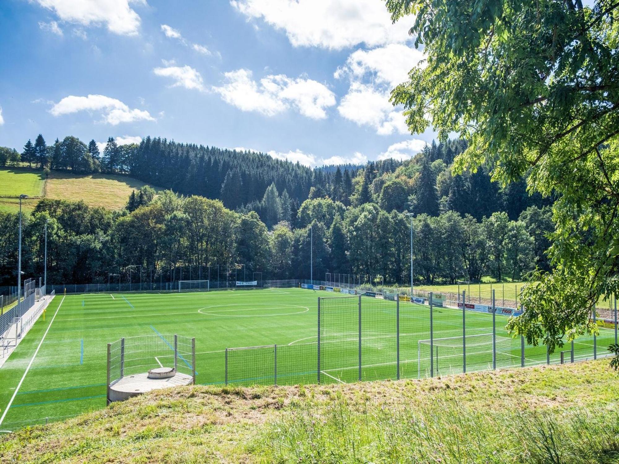 Modern Apartment In Schwalefeld With Garden Willingen  Exteriör bild