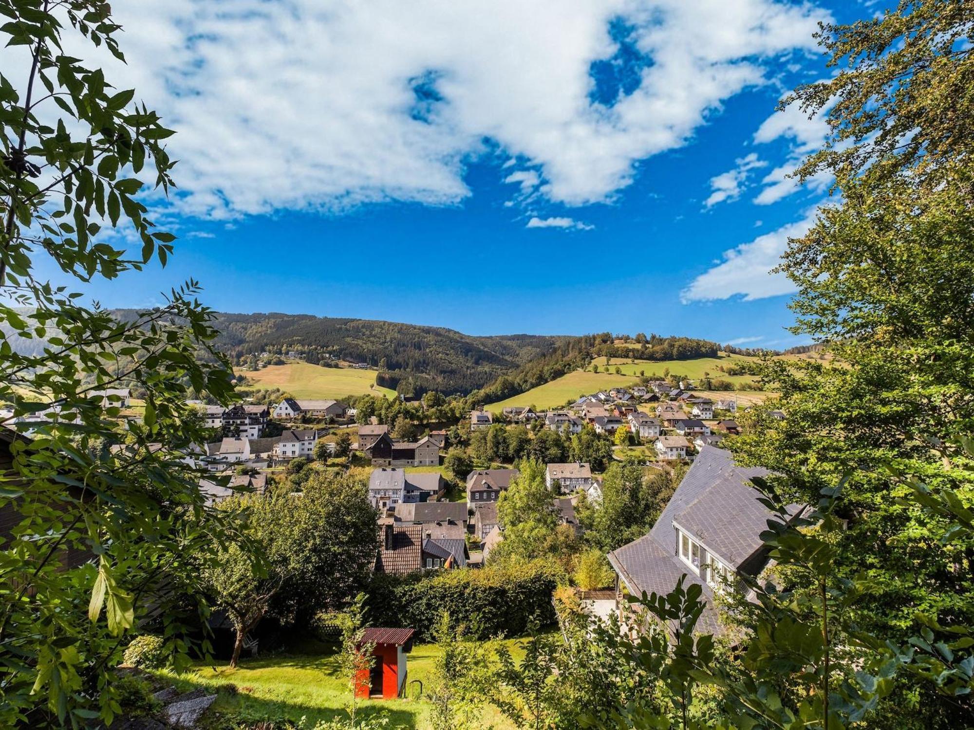 Modern Apartment In Schwalefeld With Garden Willingen  Exteriör bild